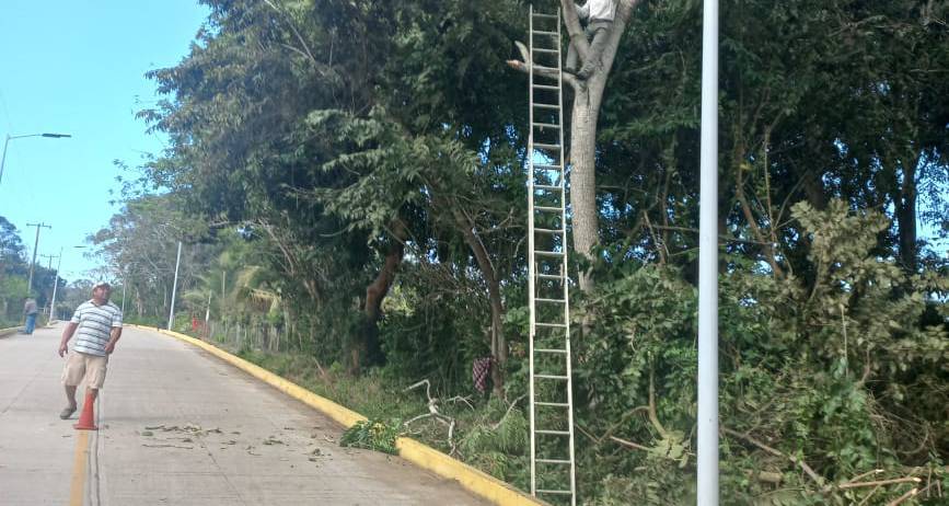 Ozuluama: Trabajos de limpieza en Horconcitos