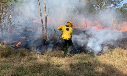 Tempoal: Temporada de incendios forestales