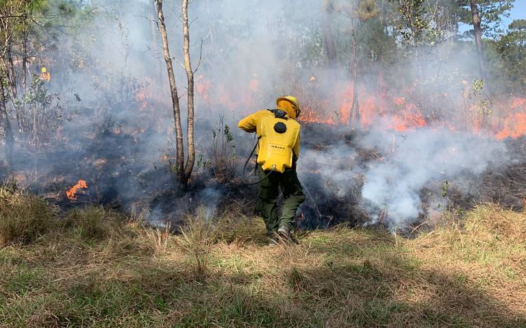 Tempoal: Temporada de incendios forestales
