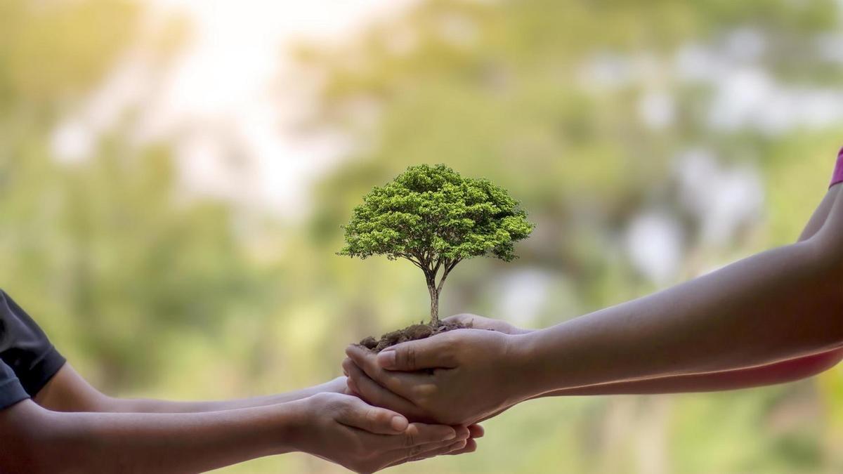 Naranjos: Día Mundial de la Naturaleza 2023