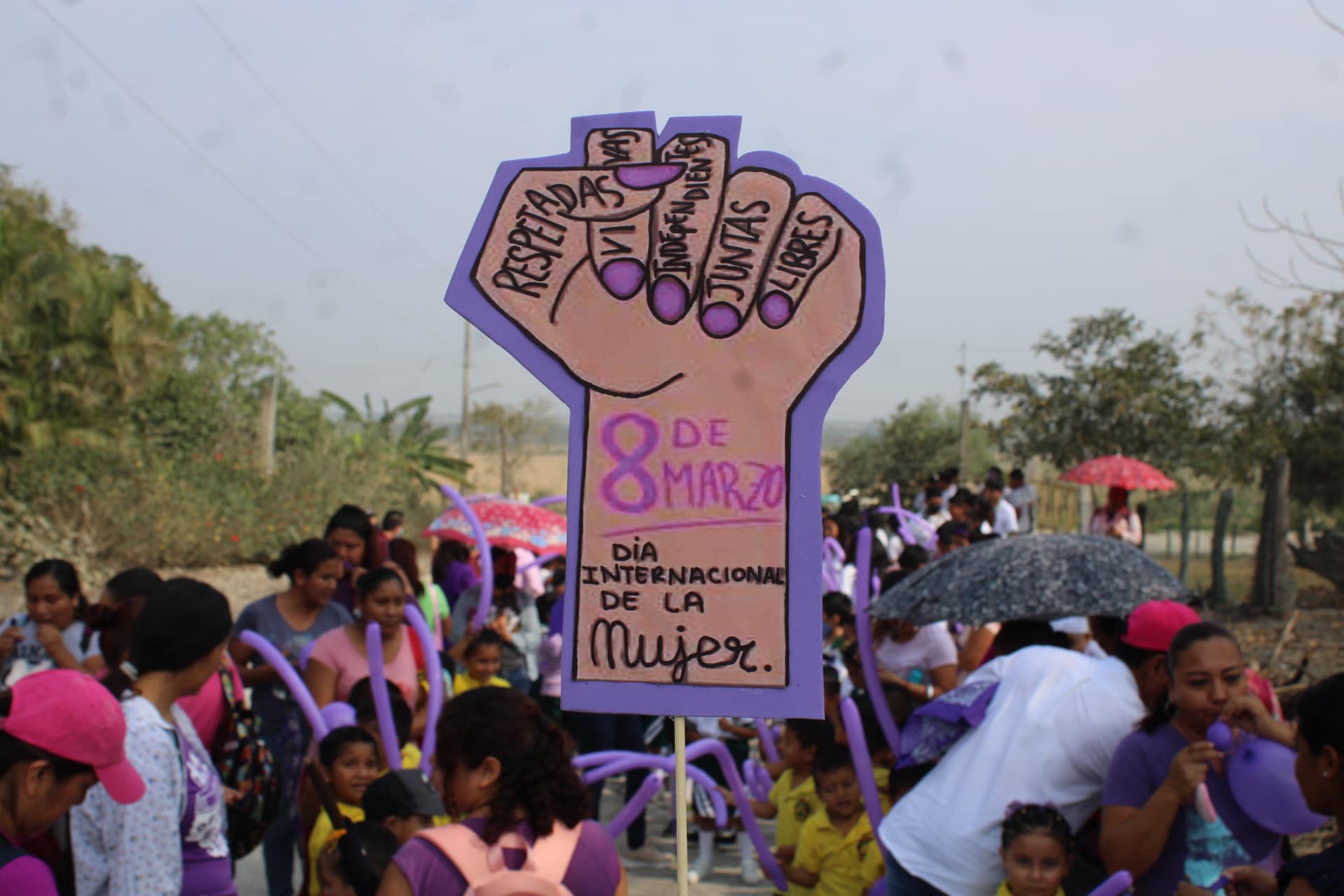 Ozuluama: Marcha 8m en tierra y libertad