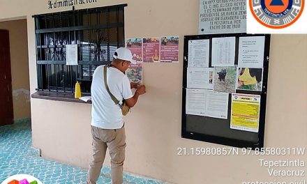 Tepetzintla: Se coloca la infografía que envía la SPCVER y CONAFOR