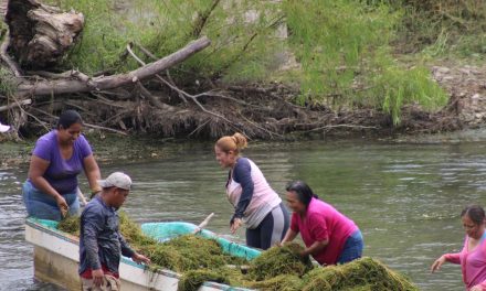 Tempoal: Adecuación de las playas en el río Calabazo