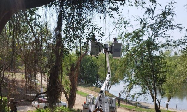 Tempoal: Retiro de ramas que limitaban la claridad e iluminación de la zona de la Playa El Paso
