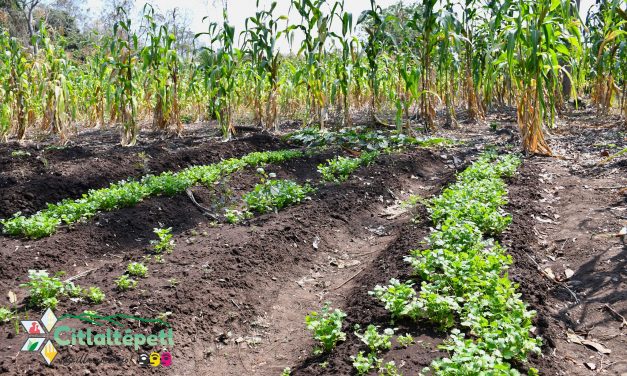 Citlaltépetl: Alcalde Cirilo Doroteo esteban visita las escuelas campesinas