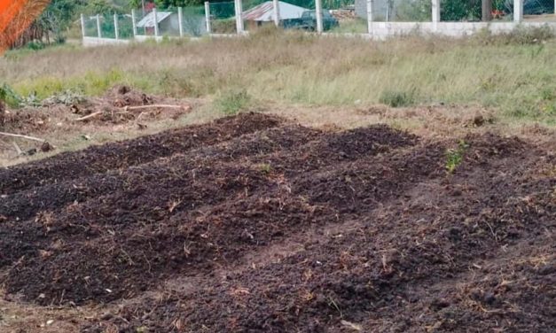 Tepetzintla: camas para hortalizas