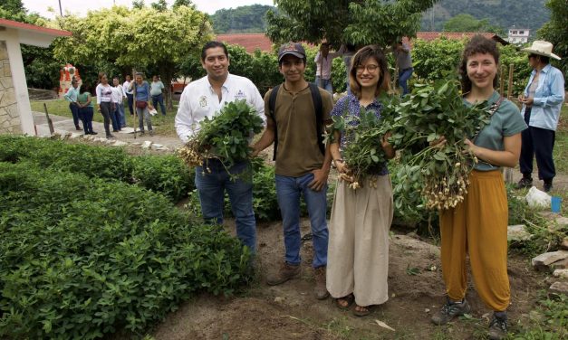 Zozocolco: Donación de 120 plantas de Canela por parte La Joya del Campo