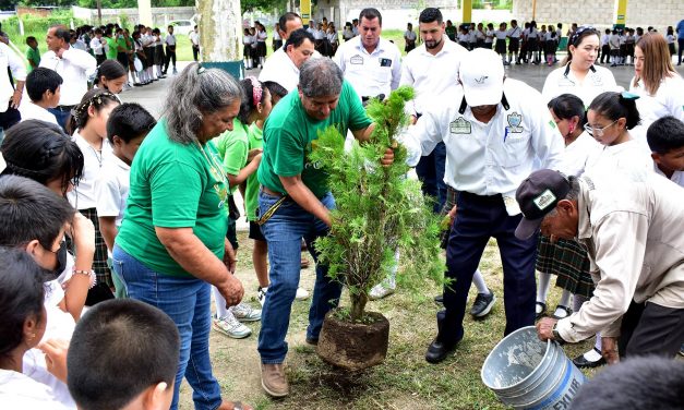 Naranjos: Día Mundial del Medio Ambiente «Planta un Árbol»