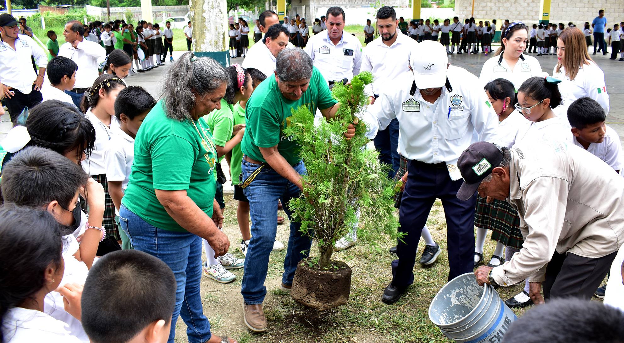 Naranjos: Día Mundial del Medio Ambiente «Planta un Árbol»