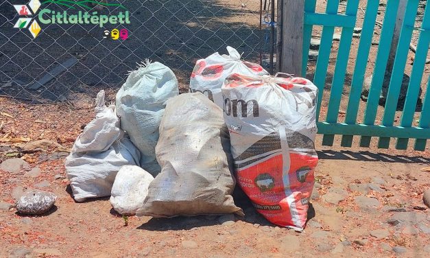 Citlaltépetl: Continúan las actividades de descacharrización