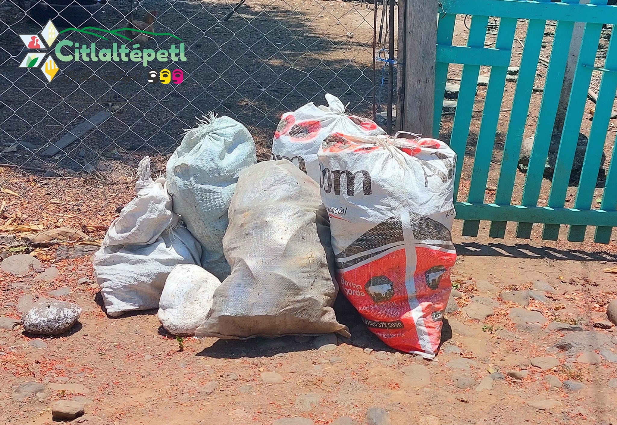 Citlaltépetl: Continúan las actividades de descacharrización