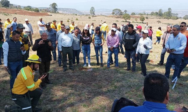 Huayacocotla: «La protección del medio ambiente debe estar en el corazón de todas las decisiones políticas» Ban Ki-moon