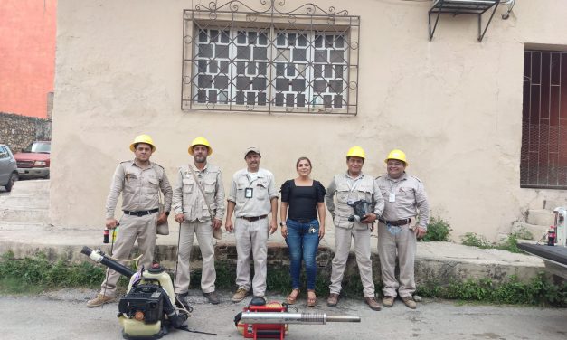 Tempoal: Tareas de fumigación