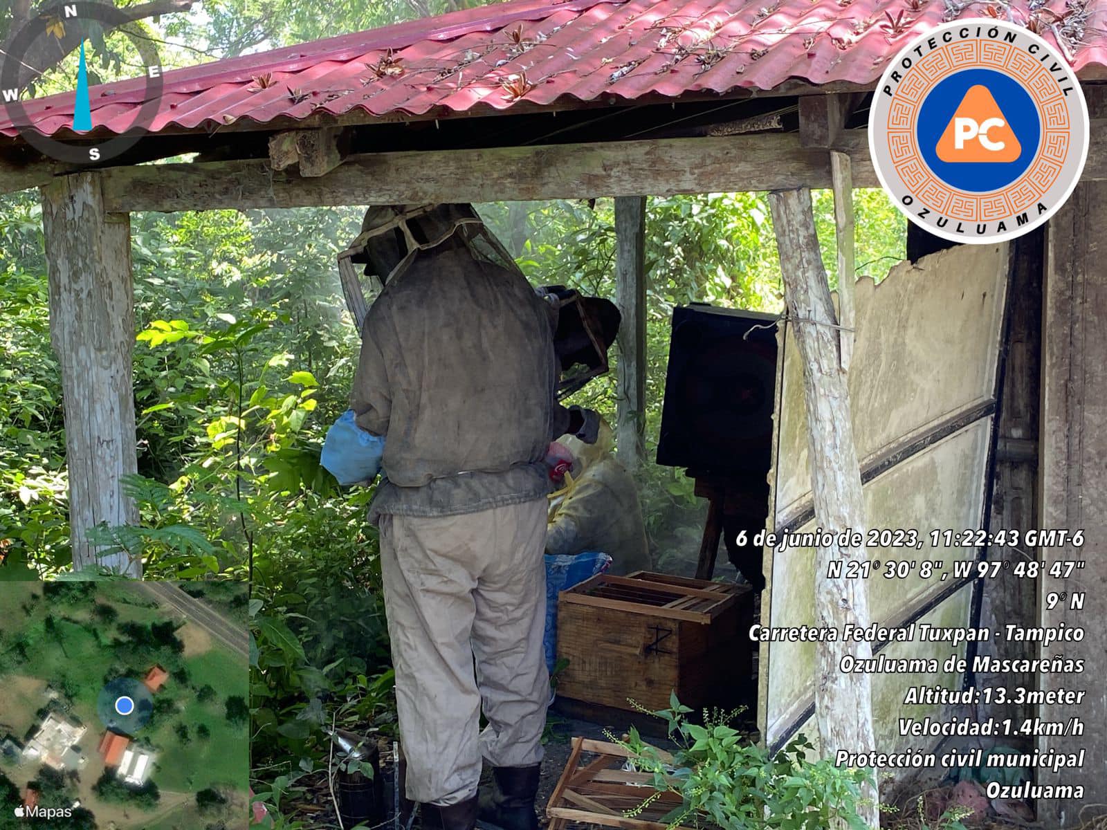 Ozuluama: Reubicación de abejas en La Crema