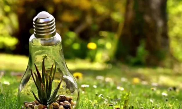 Coatzintla: Día Mundial del Medio Ambiente 2023