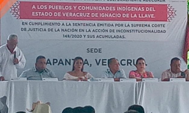 Tepetzintla: proceso de consulta previa ,libre, informada y culturalmente adecuada a los pueblos y comunidades indígenas del estado de Veracruz de Ignacio de la Llave