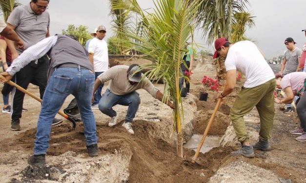 Tantima: labores de limpieza, chapeo y restauración de áreas verdes en la localidad Tamarindo del municipio de Puente Nacional