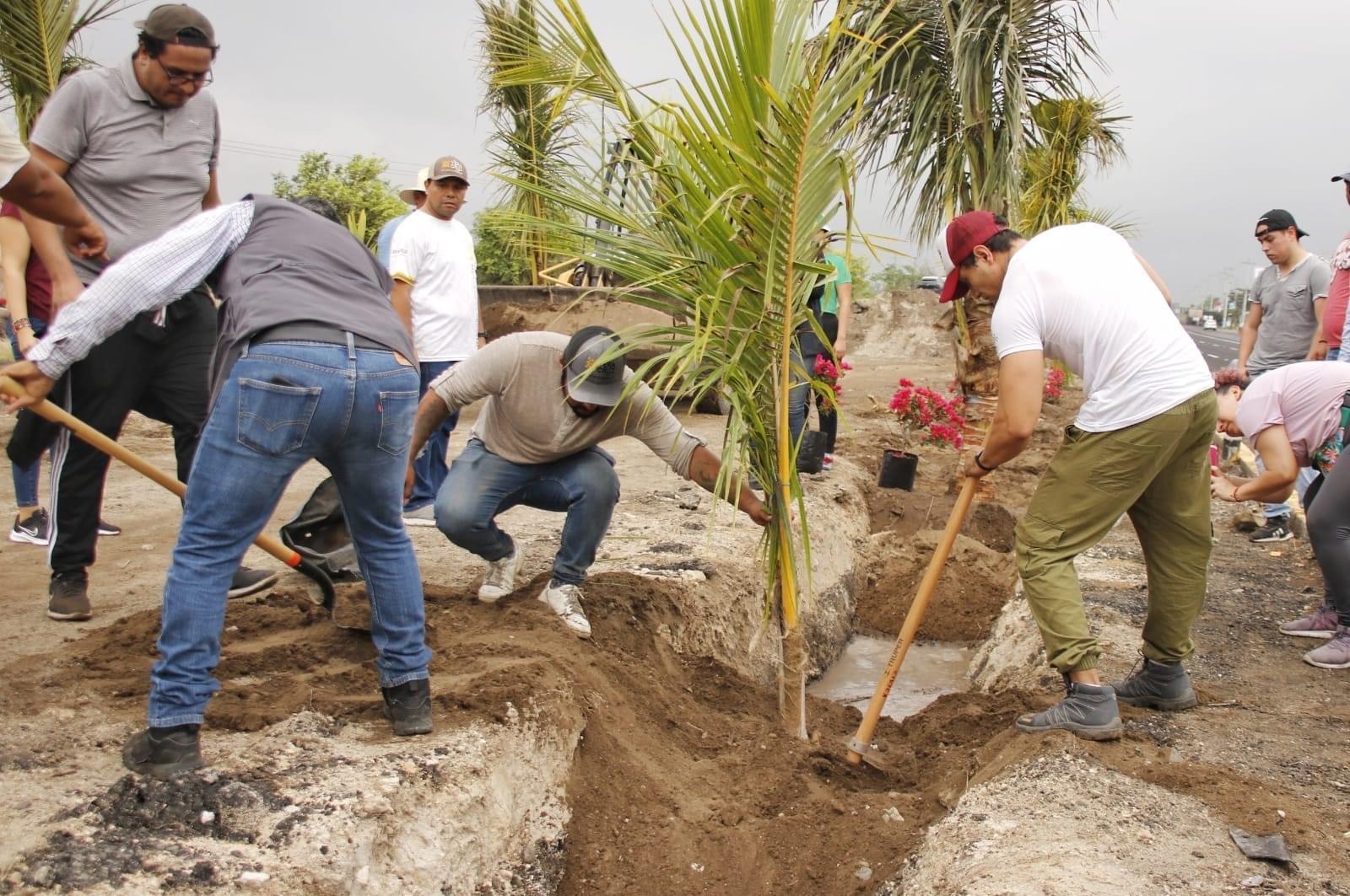Tantima: labores de limpieza, chapeo y restauración de áreas verdes en la localidad Tamarindo del municipio de Puente Nacional