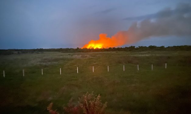 Tuxpan: En vigilancia incendio en zona de tulares  