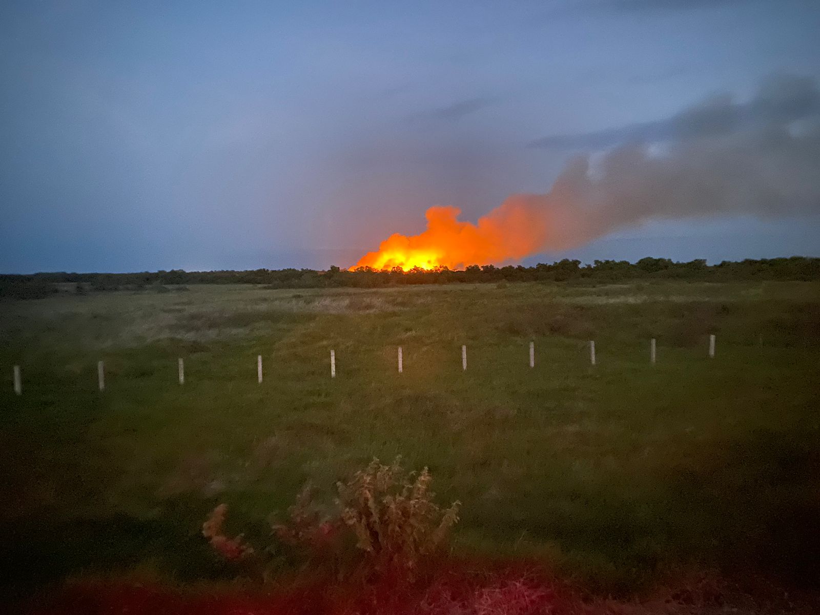 Tuxpan: En vigilancia incendio en zona de tulares  