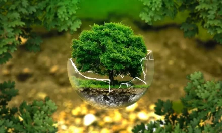 Ozuluama: Día Mundial del Medio Ambiente 2023