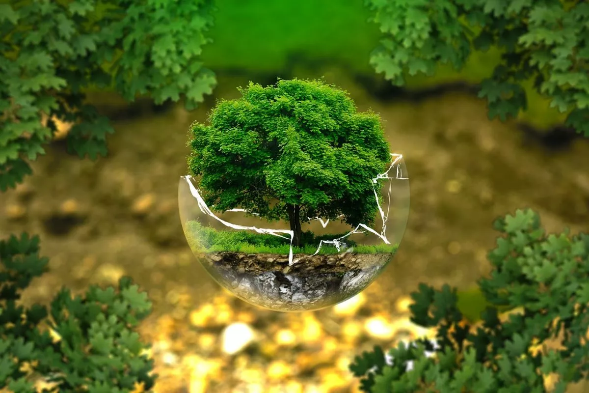 Ozuluama: Día Mundial del Medio Ambiente 2023