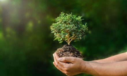 Tantoyuca: Día Mundial del Medio Ambiente 2023