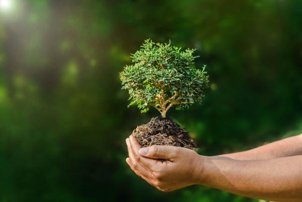 Tantoyuca: Día Mundial del Medio Ambiente 2023