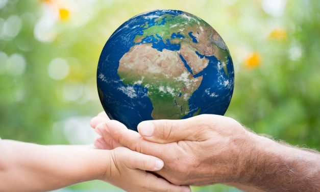 Naranjos: Día Mundial del Medio Ambiente 2023