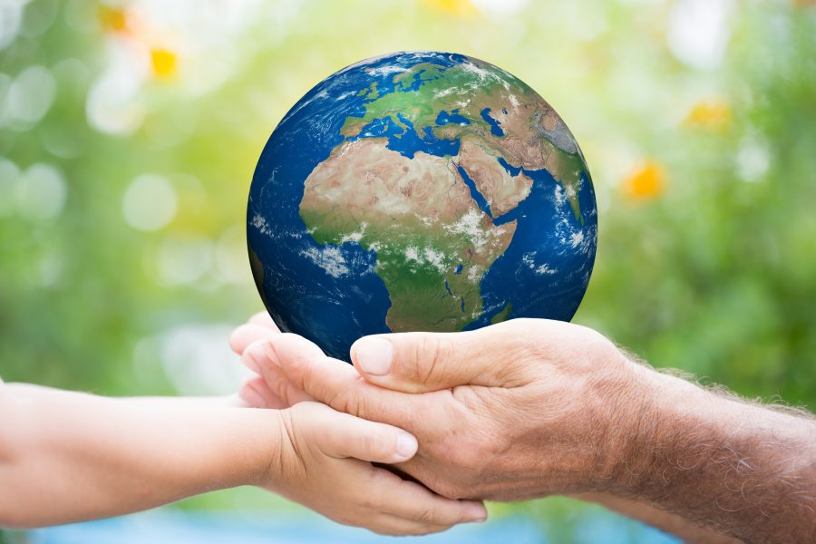 Naranjos: Día Mundial del Medio Ambiente 2023