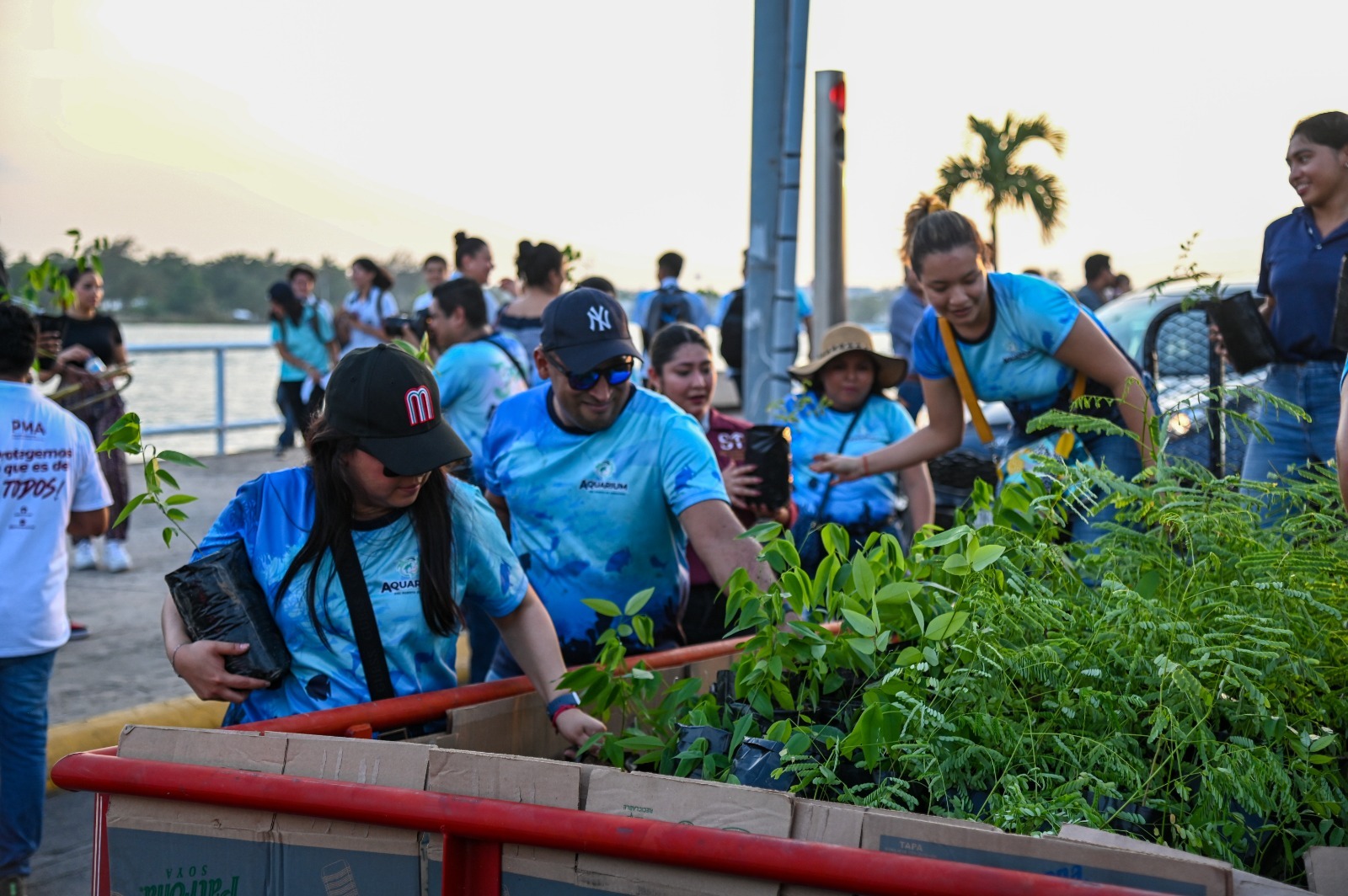 Tuxpan: Un éxito el Papaqui del “Ambientón: Festival Ecológico”.
