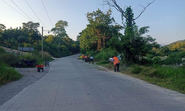 Zozocolco: Protección Civil Municipal de Zozocoloco realiza labores de mantenimiento en los accesos viales del municipio