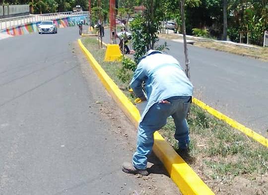 ¡Embellecimiento del Boulevard Sara García Iglesias en preparación para la Fiesta del Chul Ozuluama 2023!