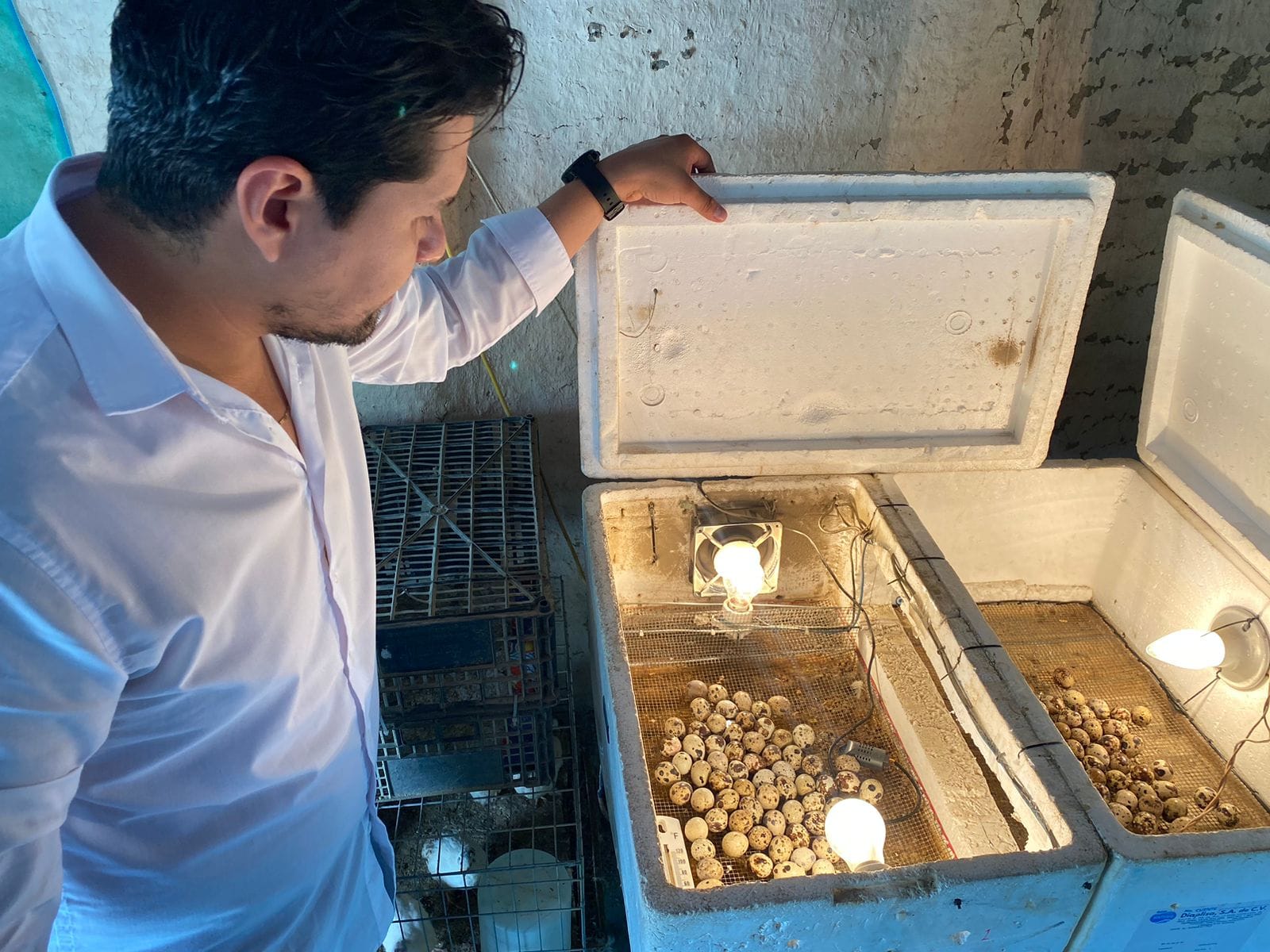 Municipio de Pánuco respalda proyectos con registro de marca y diseño corporativo