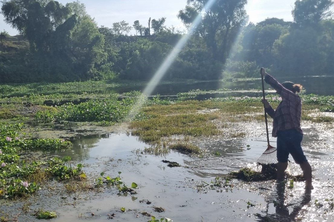 Platón Sánchez: Jornada de limpieza en el Río Calabozo para proteger este recurso vital