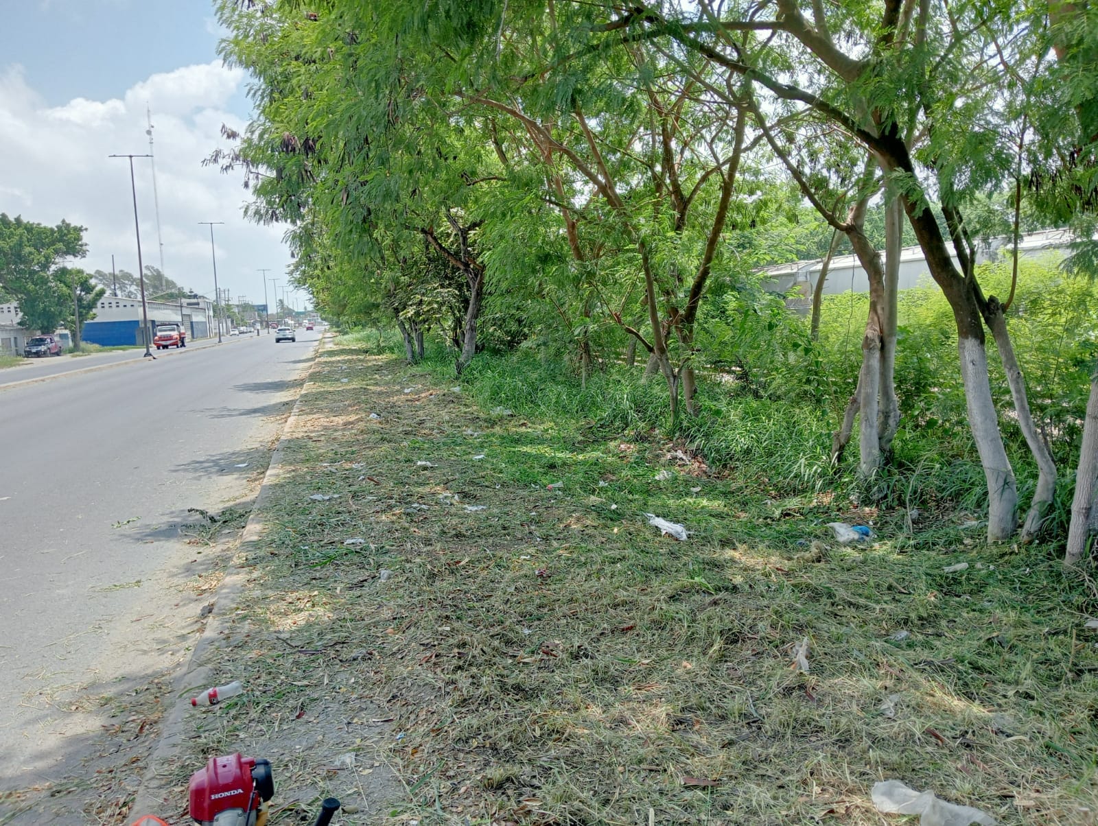 Pánuco: Continúan las Labores de Mantenimiento y Mejoramiento Urbano en el Moralillo
