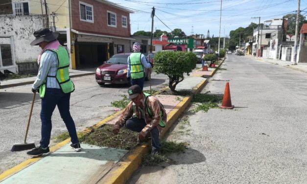 Cerro Azul: Mejoras en áreas verdes públicas y calles principales para el disfrute de la comunidad