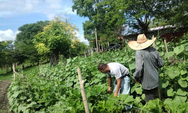 Ayuntamiento de Chinampa de Gorostiza Impulsa Programa de Desarrollo Agropecuario en Escuela Campesina de Mata dé Tampico