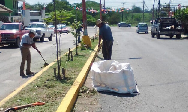 Ozuluama: Un Esfuerzo Coordinado por el Departamento de Limpia Pública