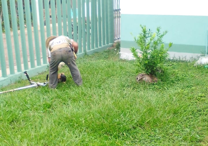 Ozuluama: Trabajos de Mejora en las Áreas Verdes del Hospital de la Cabecera Municipal