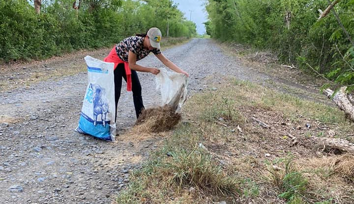 Ozuluama: Limpieza y Mantenimiento de Áreas Verdes y Camino en la Congregación Tamontao
