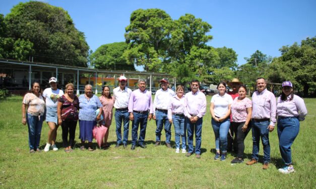 Supervisión de Trabajos de Rehabilitación y Modernización del Campo Deportivo de San Gregorio en Ozuluama