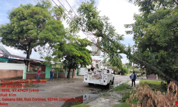 Coatzintla: El ayuntamiento derrama riesgoso árbol en la calle galeana de esta cabecera