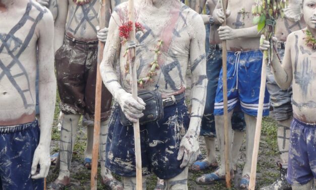 Participación con La Danza de Mecos de San Francisco Chontla