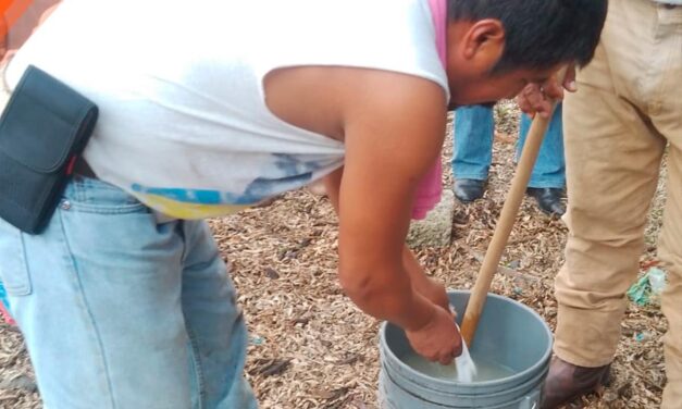 Tepetzintla: Gobierno Municipal imparte taller teórico práctico denominado “Agua Carbonatada”