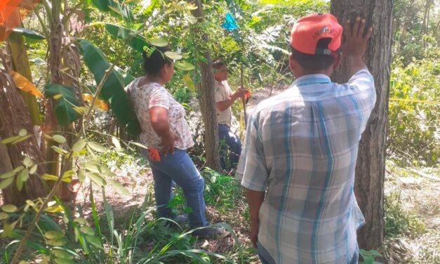 Tepetzintla: Catastro realiza inspección ocular de campo en la localidad del Humo