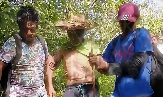 Castillo de Teayo: Se había perdido en el MONTE