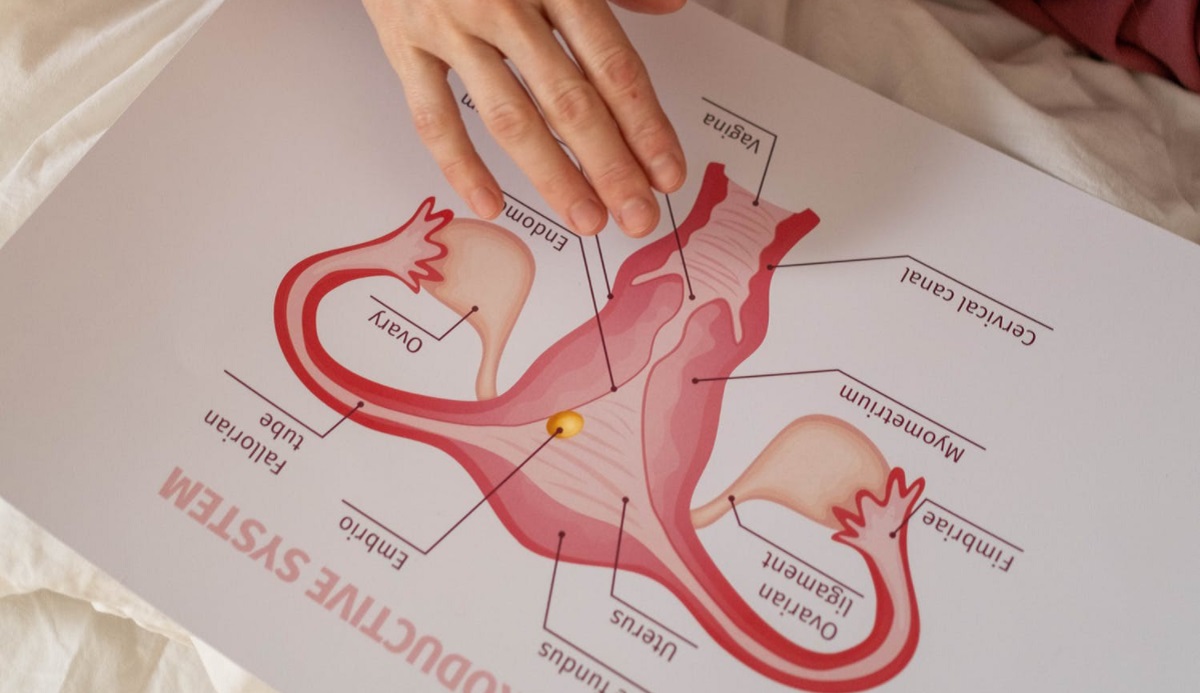 Citlaltépetl: Programa de Prevención del Cáncer Cérvico Uterino