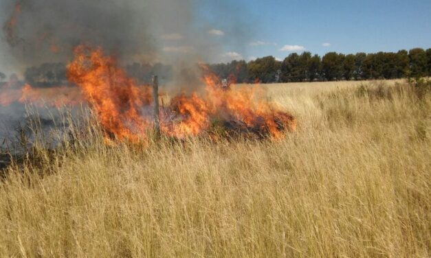 Platón Sánchez: Prevención de Incendios de Pastizales y Basureros