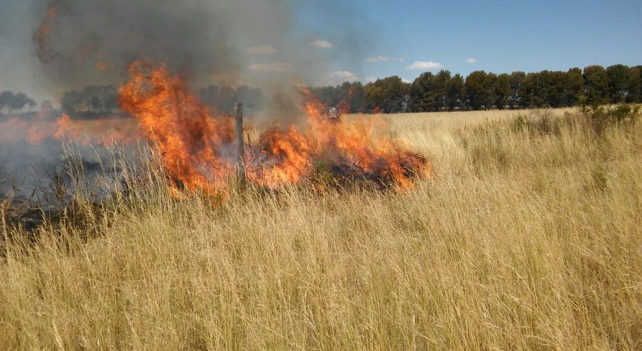 Platón Sánchez: Prevención de Incendios de Pastizales y Basureros